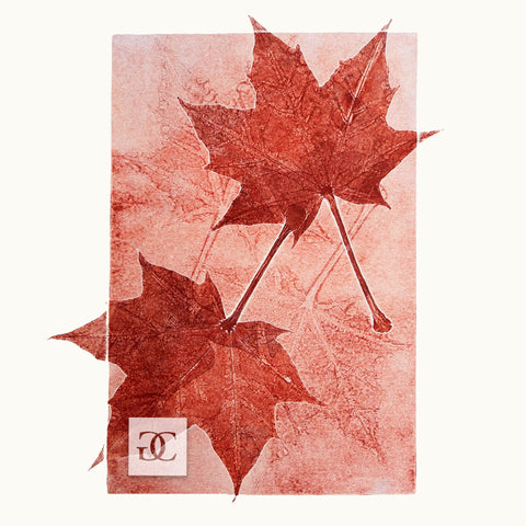 Red Maple #2