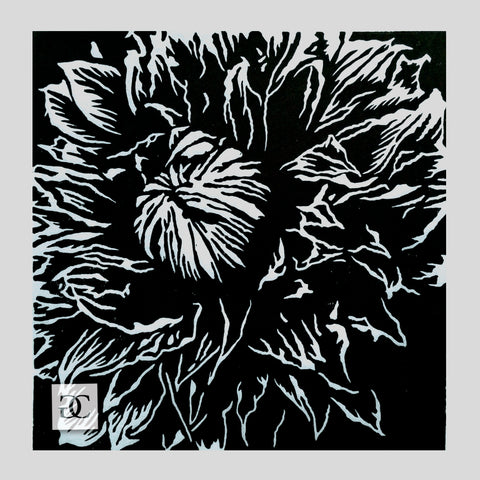 Black and white hand-carved and hand-printed linocut relief print. Close up art of a clematis flower bloom with detailed petals.