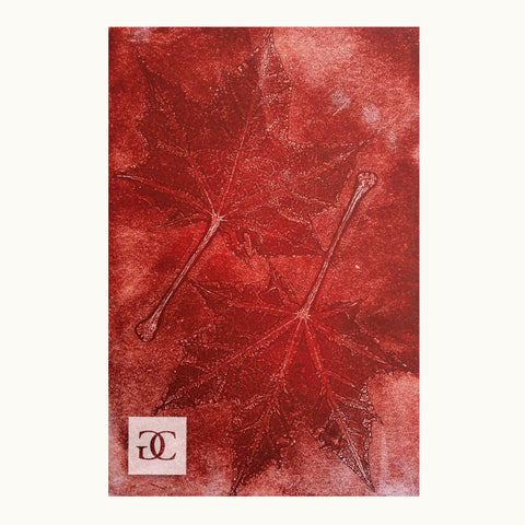 Red Maple #1